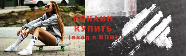 прущие грибы Арсеньев