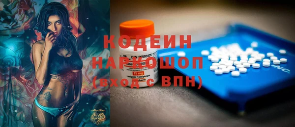 прущие грибы Армянск