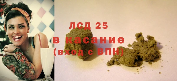 прущие грибы Арсеньев