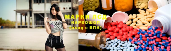 прущие грибы Армянск