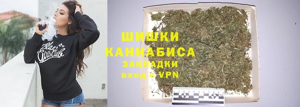 прущие грибы Армянск