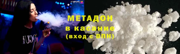 прущие грибы Армянск