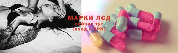 прущие грибы Армянск
