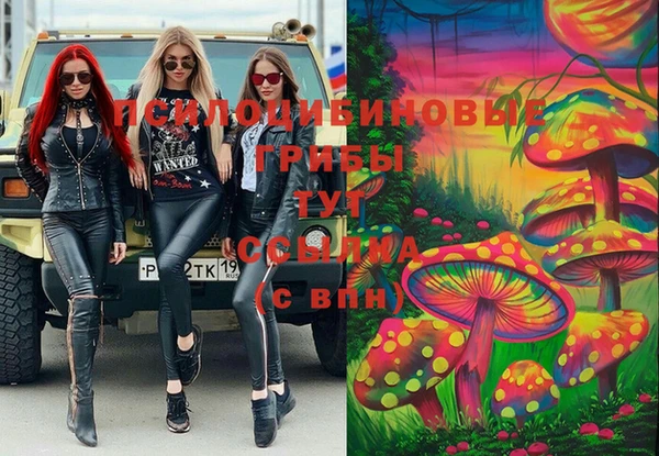 прущие грибы Армянск
