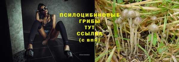 прущие грибы Арсеньев