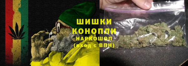 прущие грибы Армянск