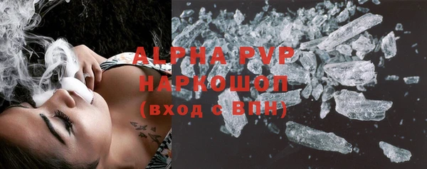 прущие грибы Арсеньев