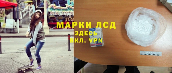 прущие грибы Армянск