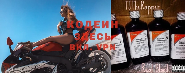 прущие грибы Арсеньев