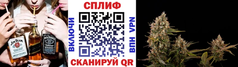 купить наркотики сайты Павловский Посад MEGA как зайти Конопля тримм